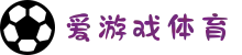 爱游戏(ayx)官方网站